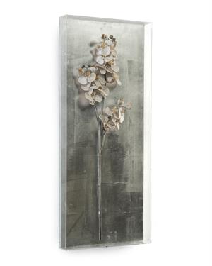 Silver Orchid I