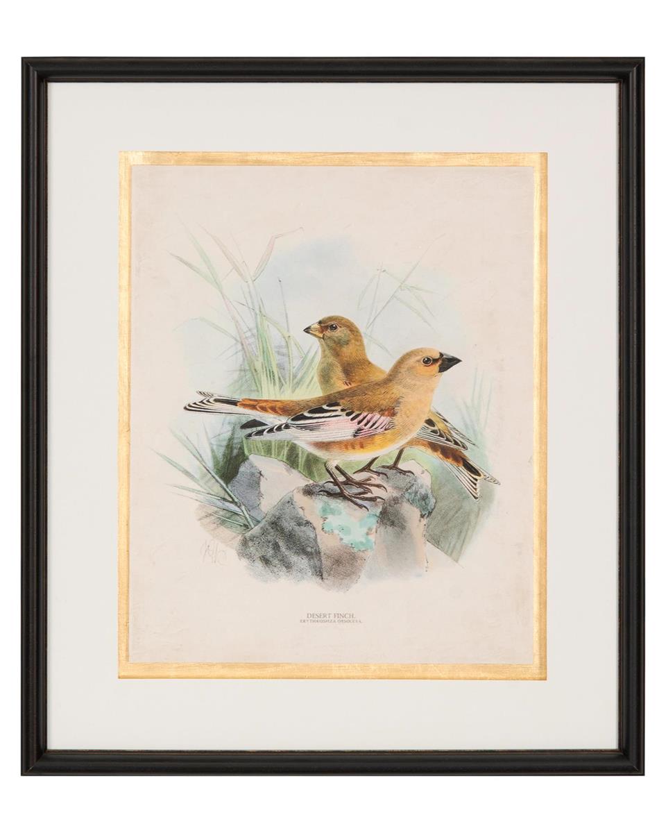 Antique Birds I