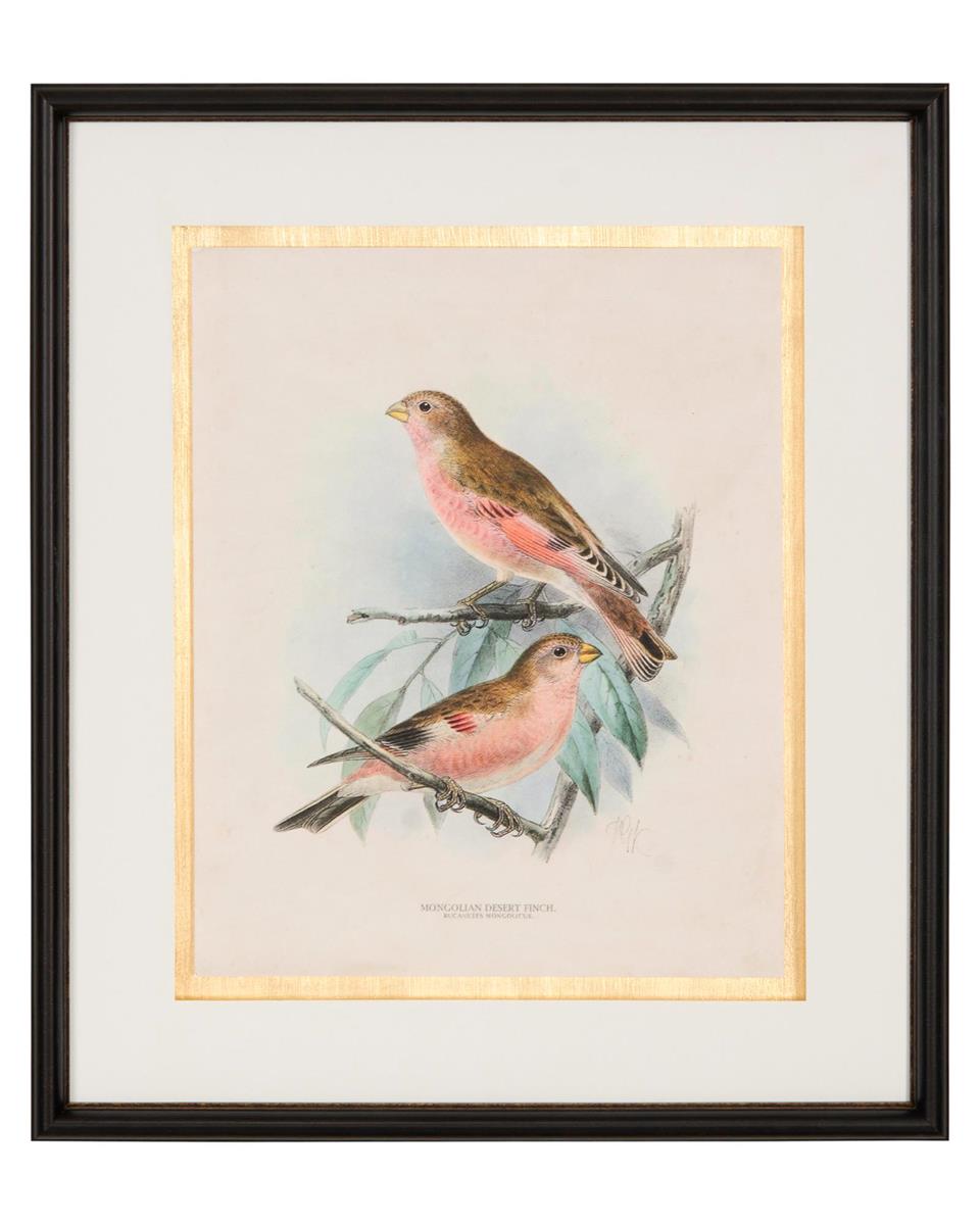 Antique Birds II