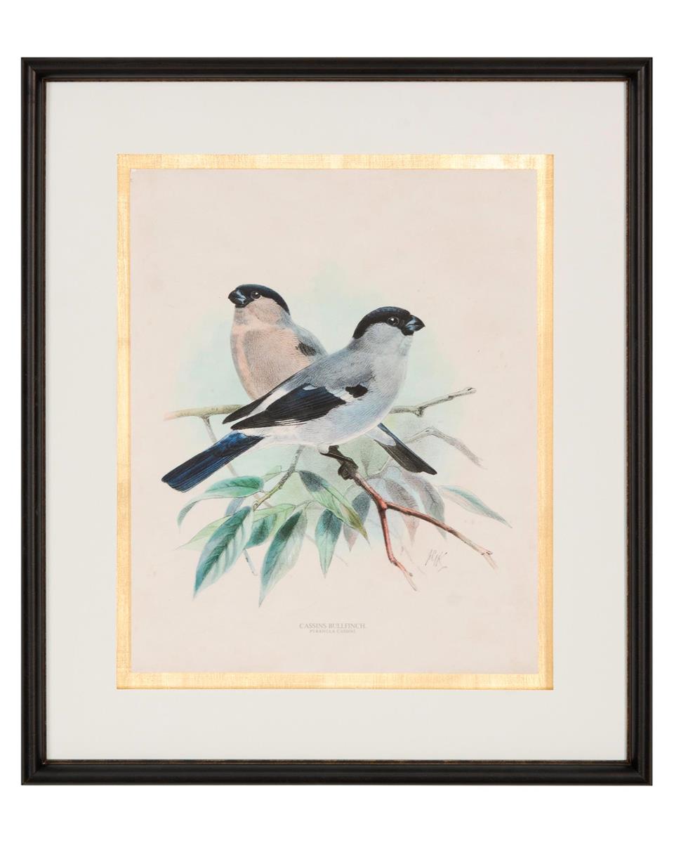 Antique Birds III