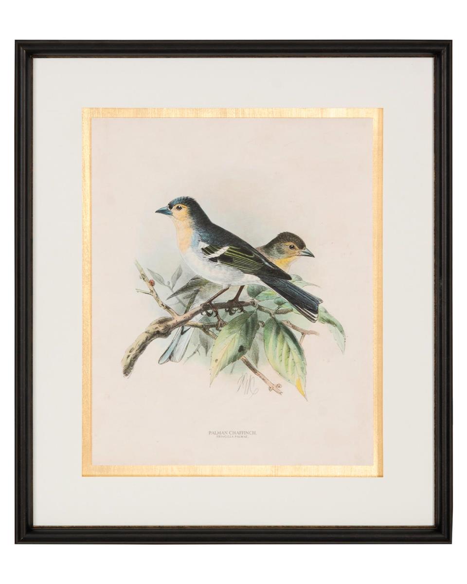 Antique Birds IV