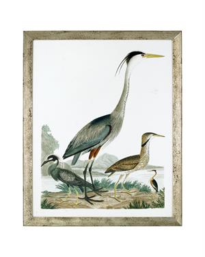 Large Heron Family I