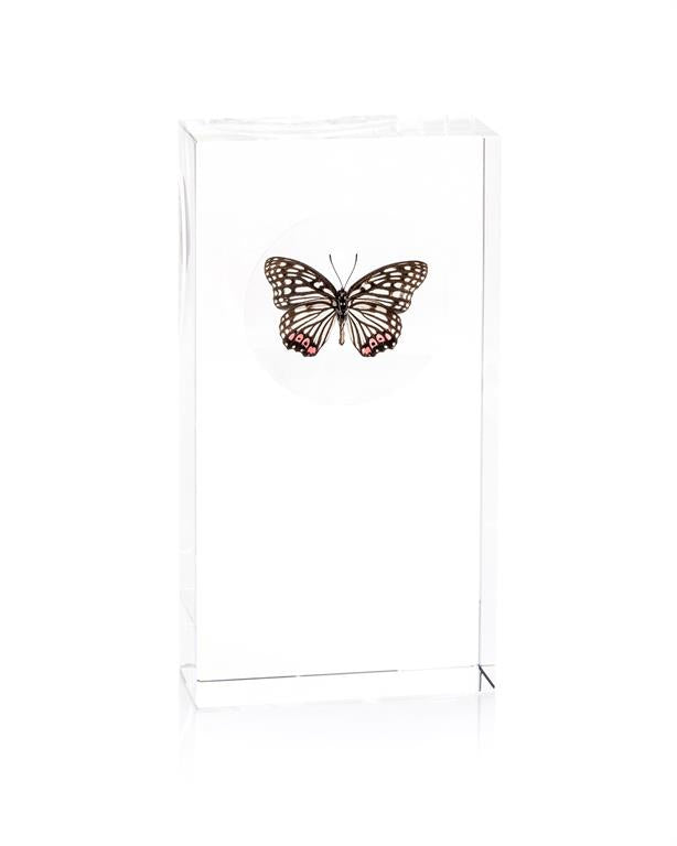 Black, White, and Pink Butterfly Encased in Crystal