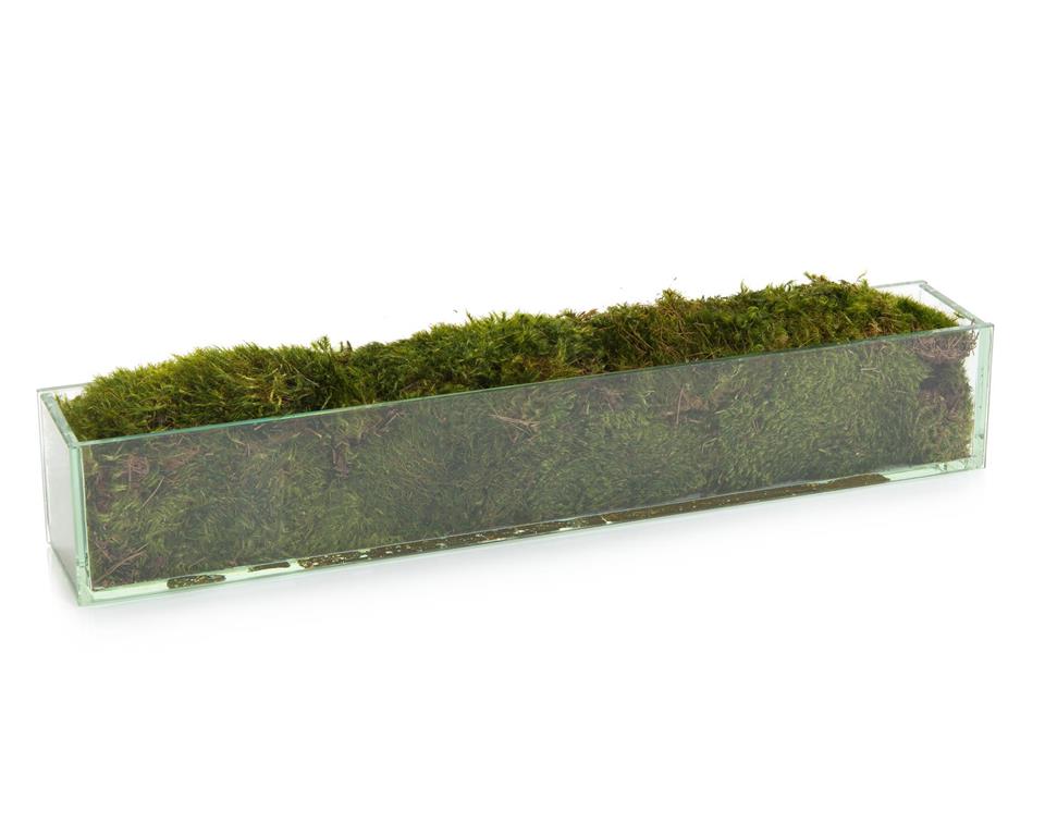 Moss Mound