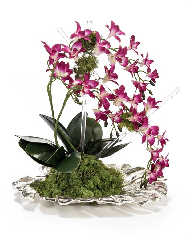 Dendrobiums