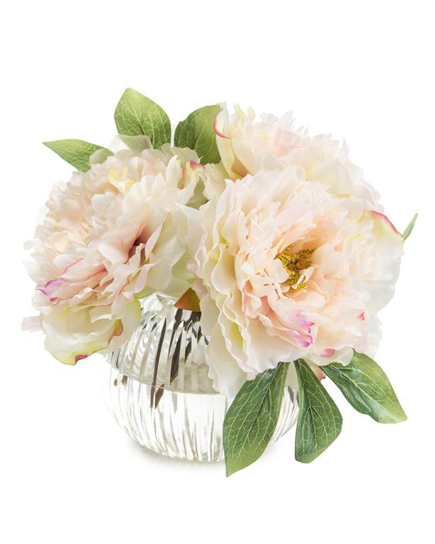 Dazzling Peonies