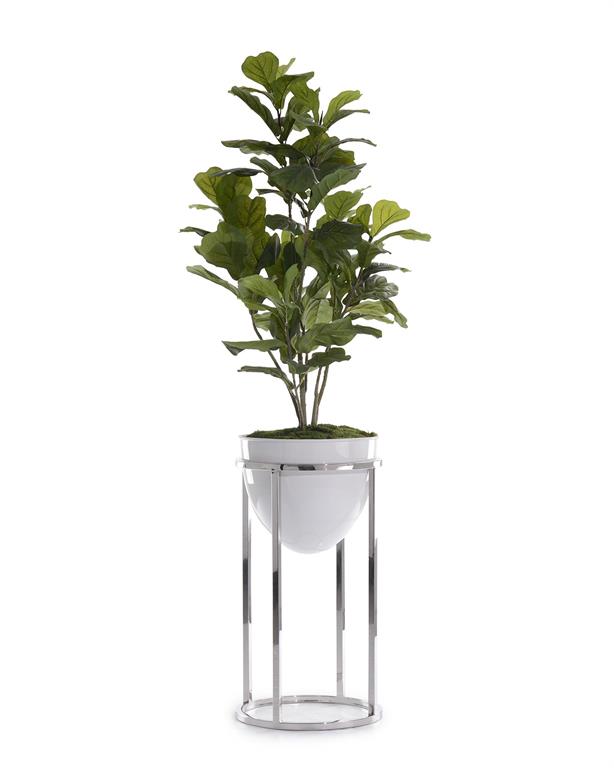 Green Fiddle-Leaf Fig Tree with Silver Stand