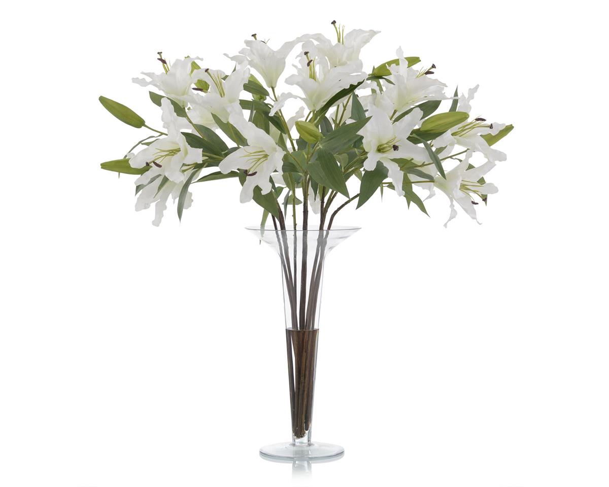 Casa Blanca Lilies